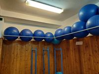 PeVan držák na fitness míče 02 #4