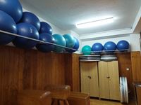 PeVan držák na fitness míče 02 #5
